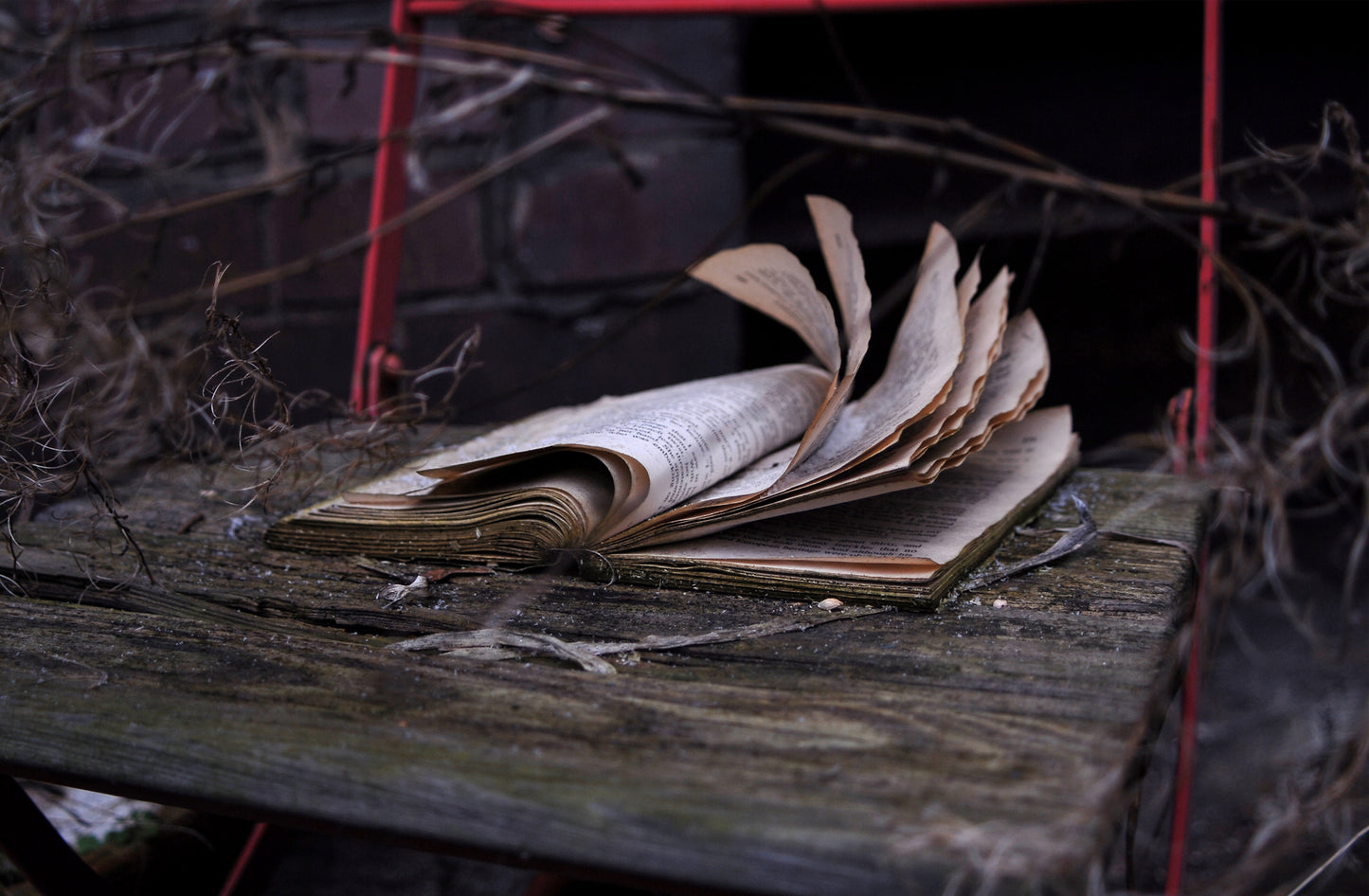 Whispered Pages II