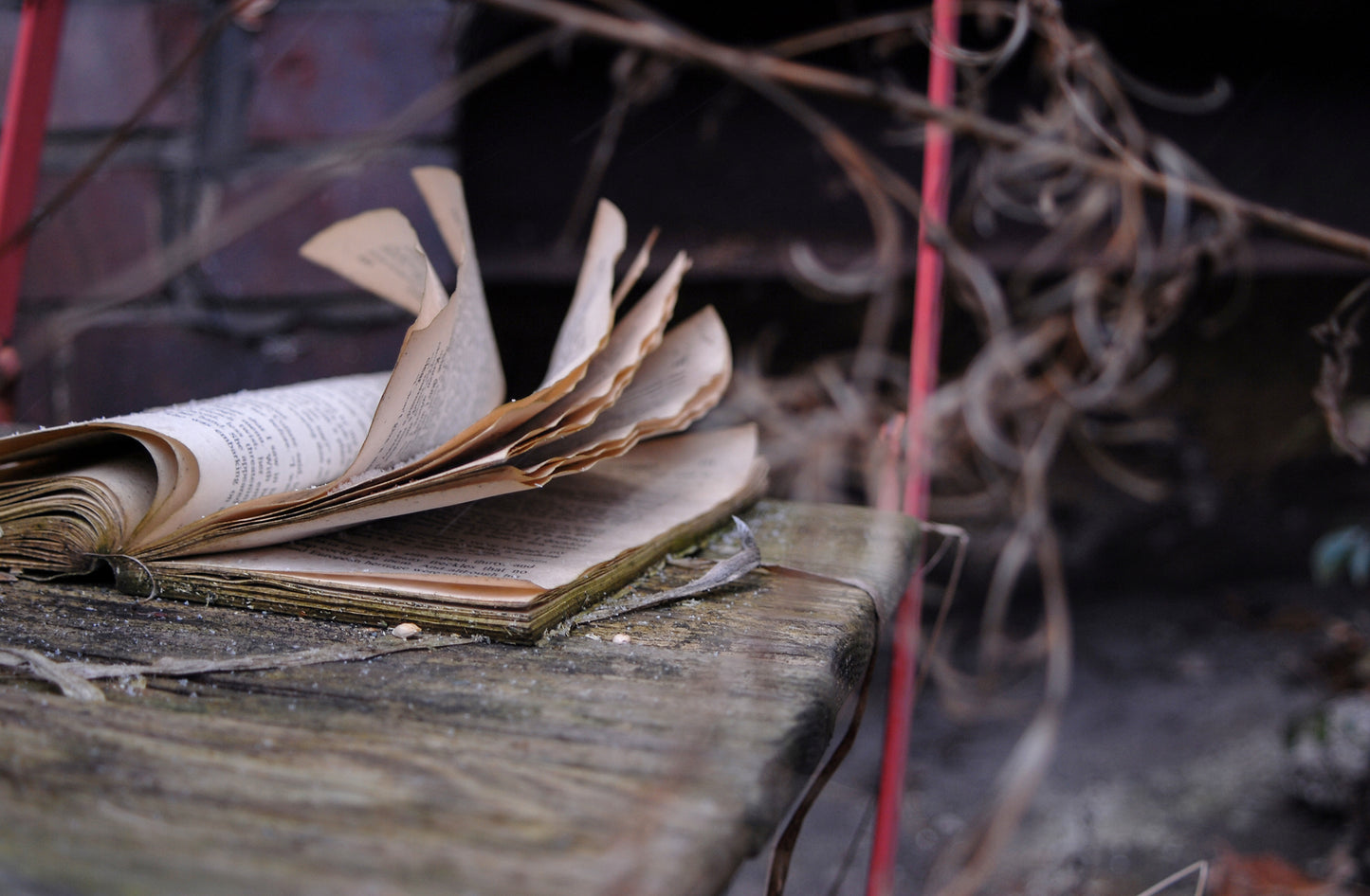 Whispered Pages IV