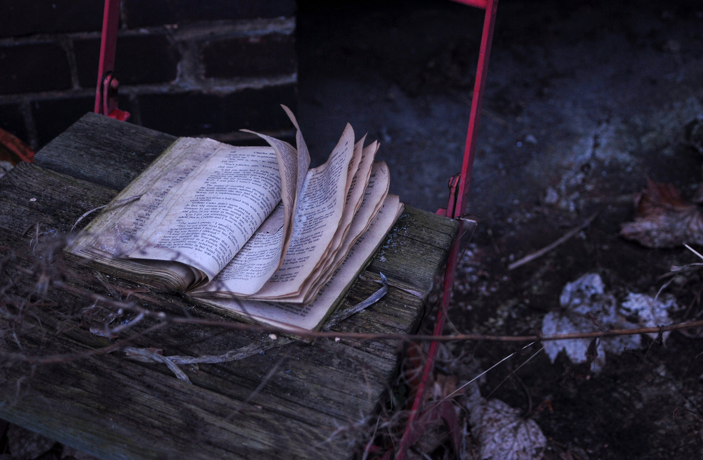 Whispered Pages I