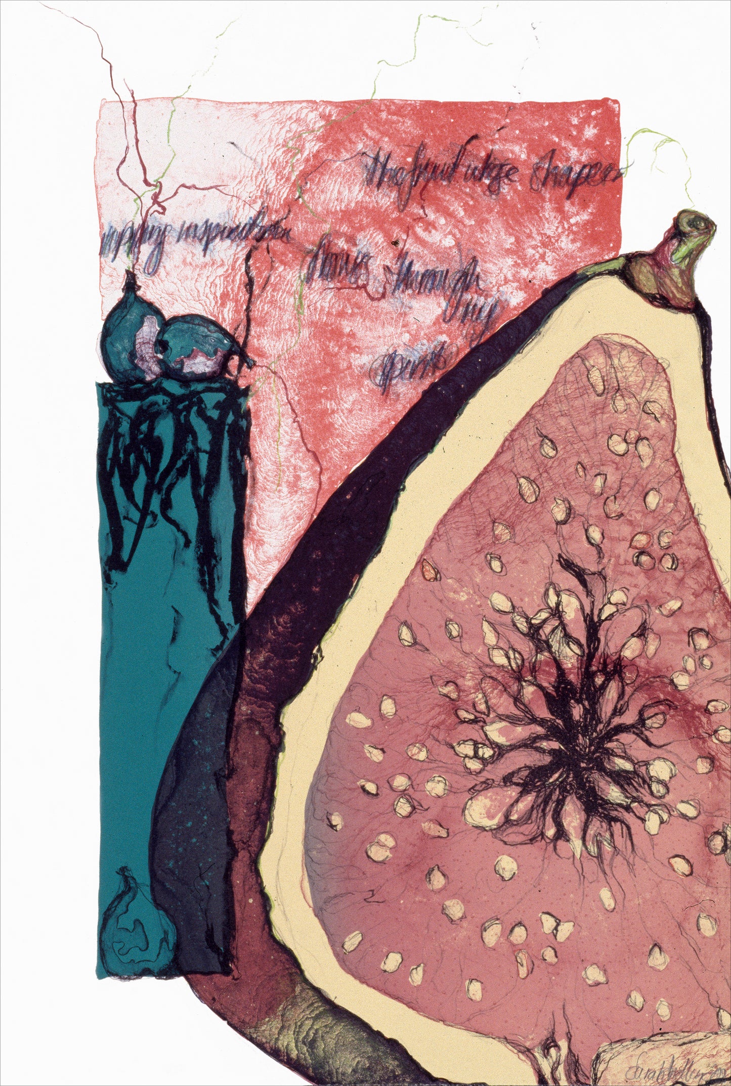 Forbidden Fruit Series: south figs fire