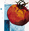 Sarah Dudley forbidden fruit lithography tomato il-pomo-doro-di-leolo thumb