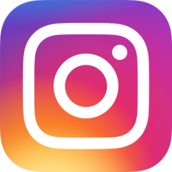 small inst logo